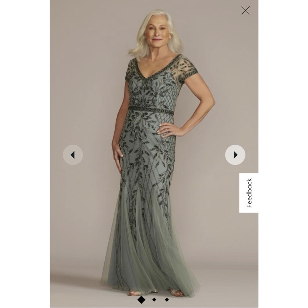 David’s Bridal Mother of the Bride Dress